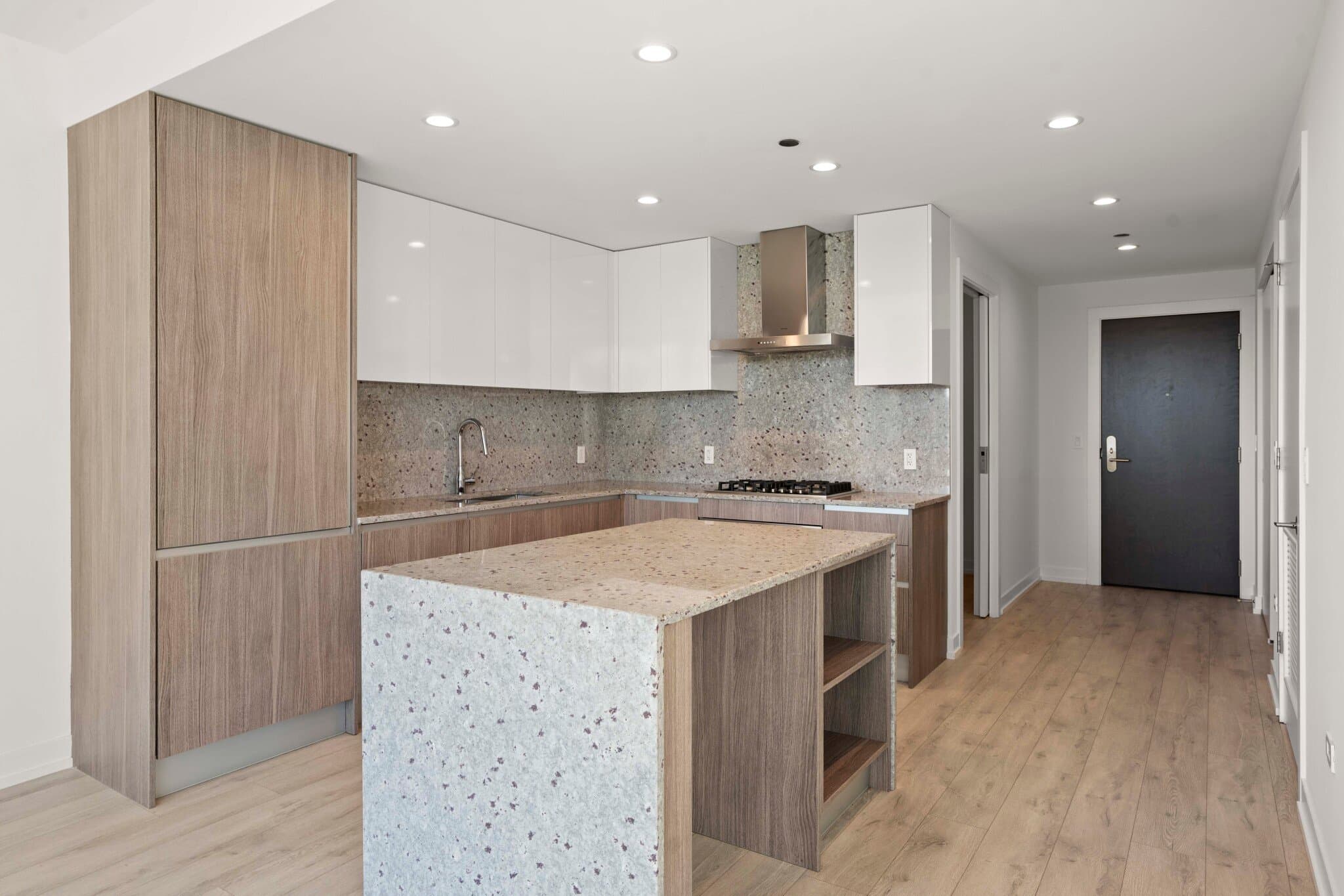 Chicago Condo: 1059 North Orleans Street