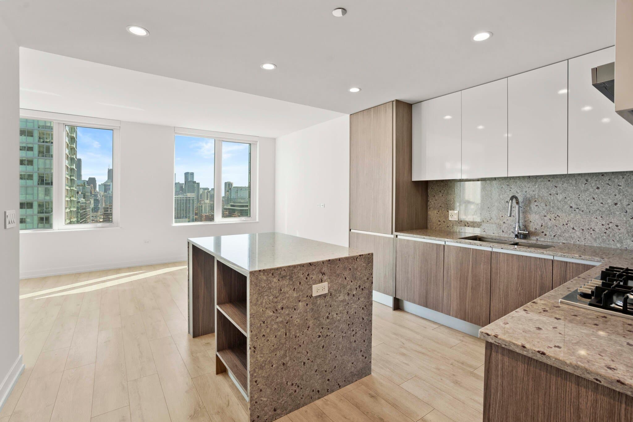 Chicago Condo: 1059 North Orleans Street