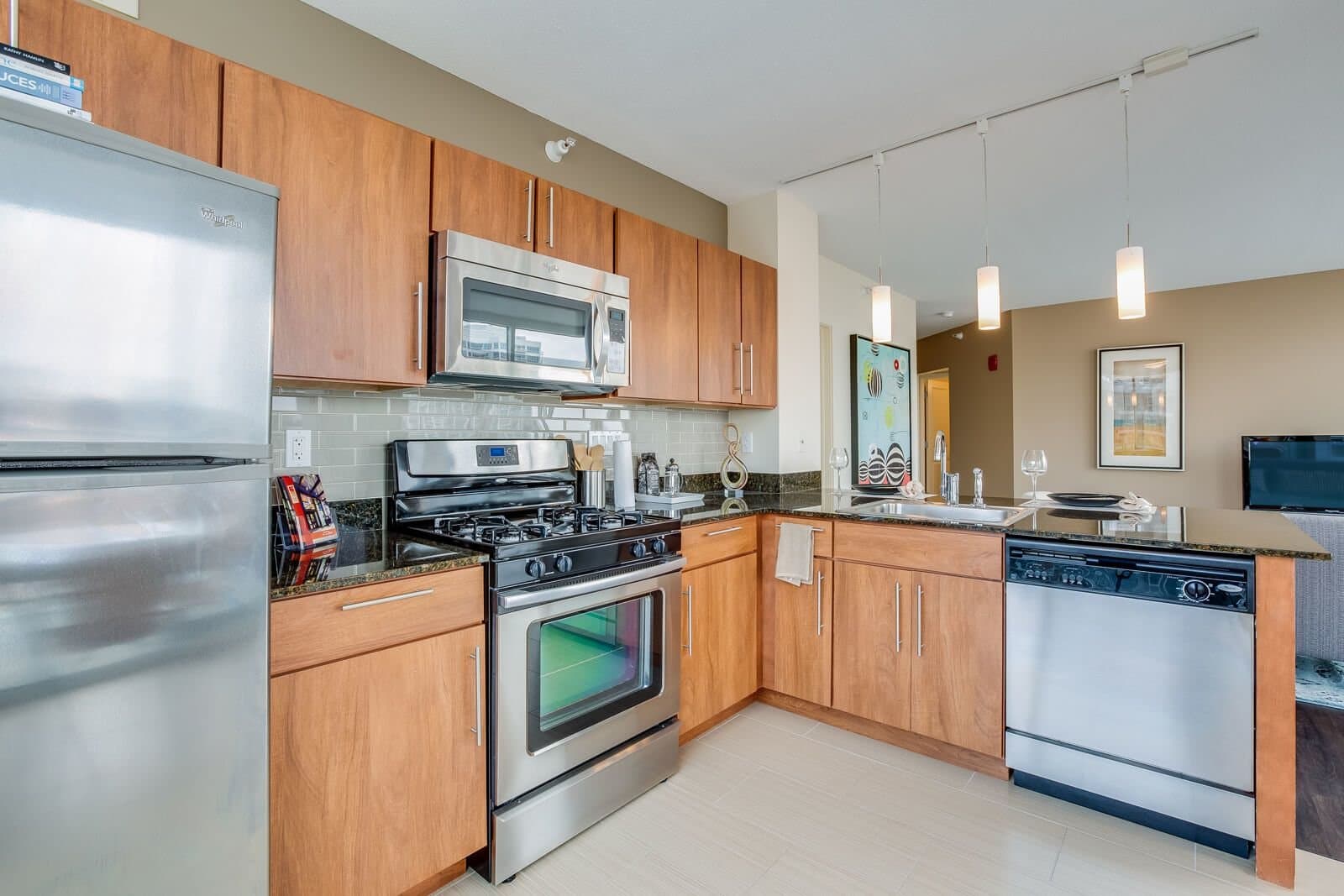 Chicago Condo: 224 W Huron St