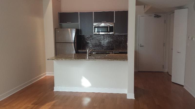 Chicago Condo: 648 West Fulton Market
