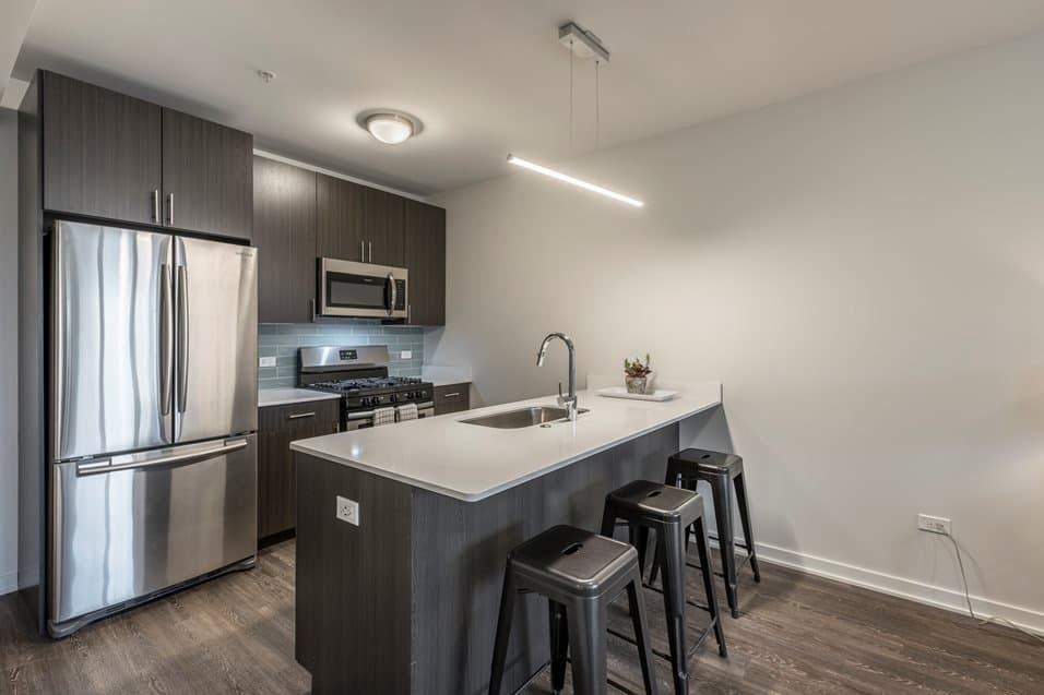 Chicago Condo: 1301 N La Salle Dr