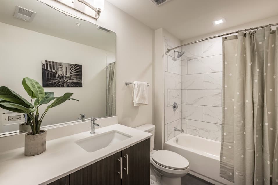 Chicago Condo: 1301 N La Salle Dr