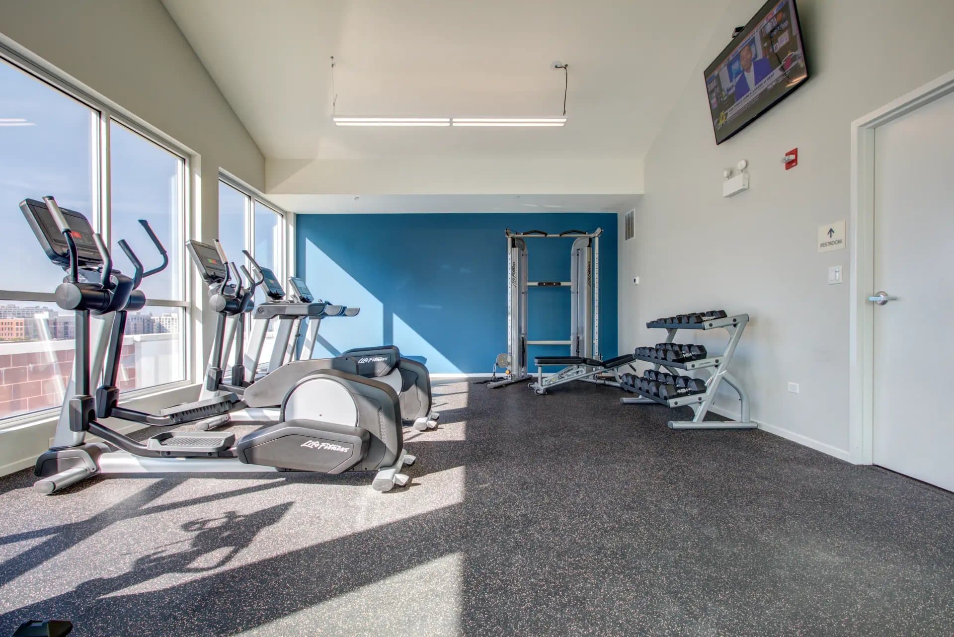 Chicago Condo: 1301 N La Salle Dr