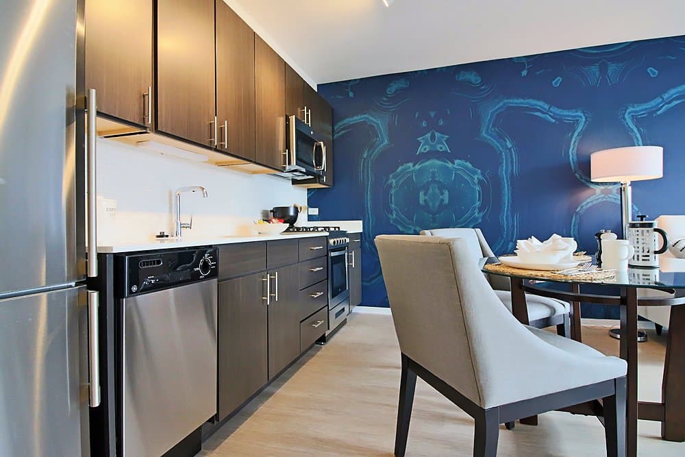 Chicago Condo: 670 N Wells St