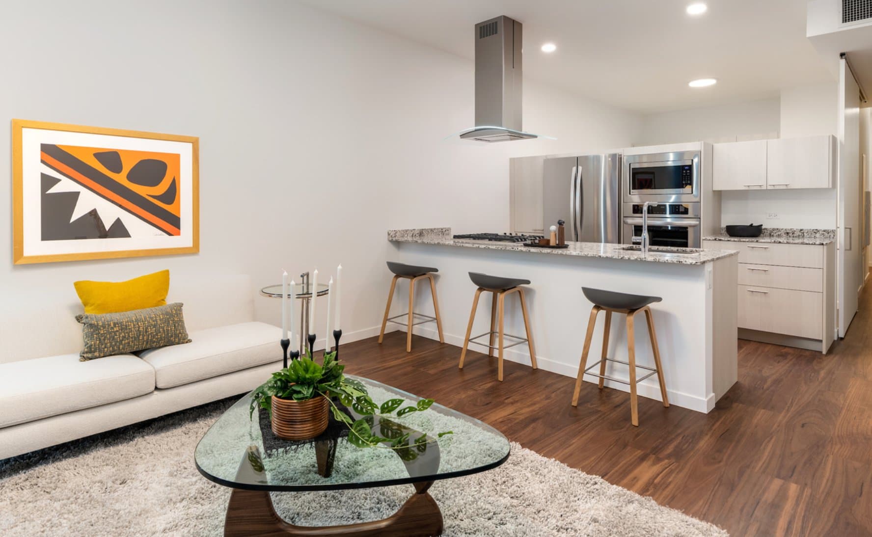 Chicago Condo: 3502 North Broadway Street