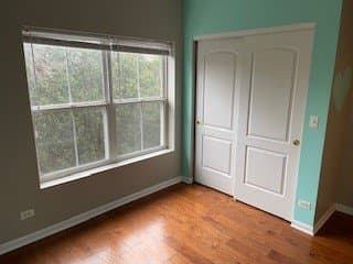 Grayslake Condo: 10 N Lake St
