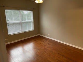 Grayslake Condo: 10 N Lake St