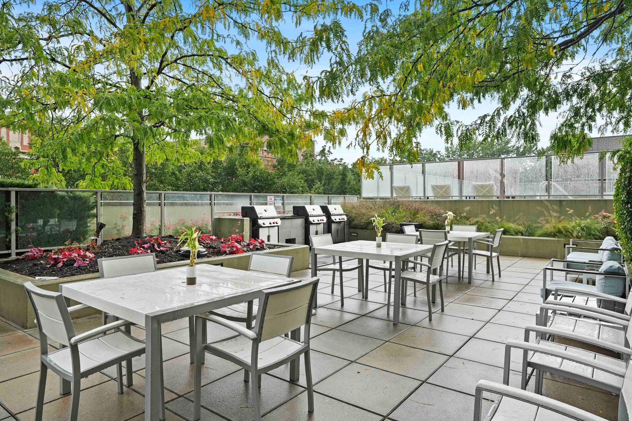 Chicago Condo: 832 West Grace Street