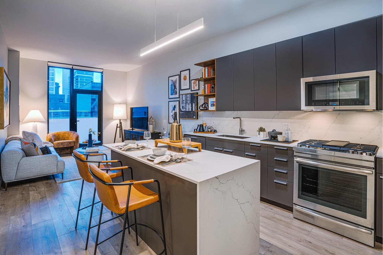 Chicago Condo: 1203 North Dearborn Street