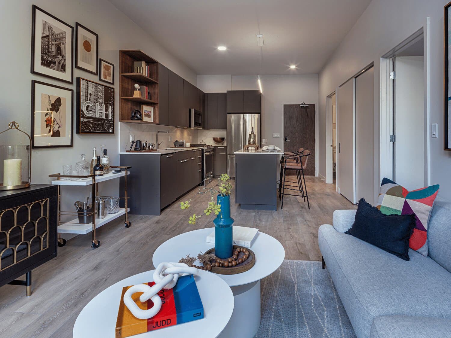Chicago Condo: 1203 North Dearborn Street