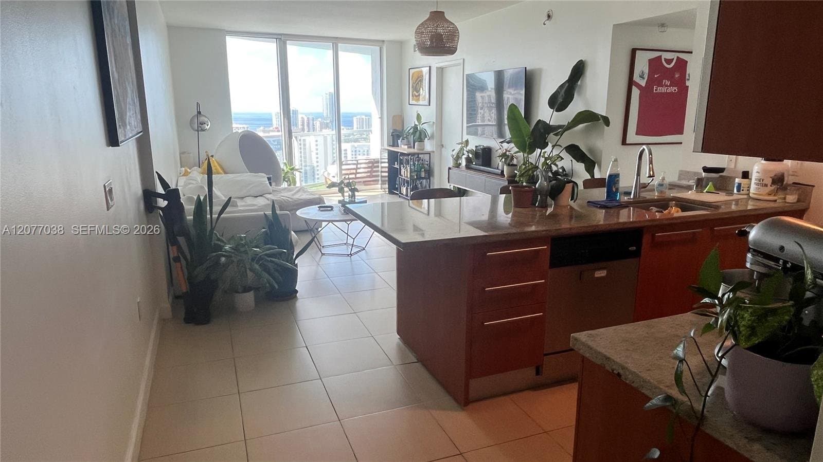 Miami Condo: 185 SW 7th St