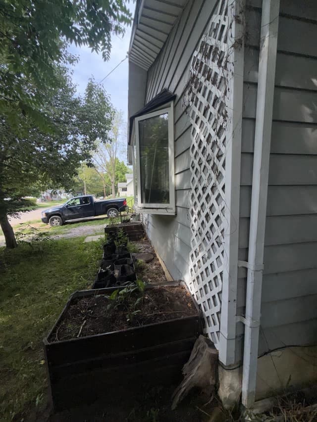 Flint House: 1206 Markham St