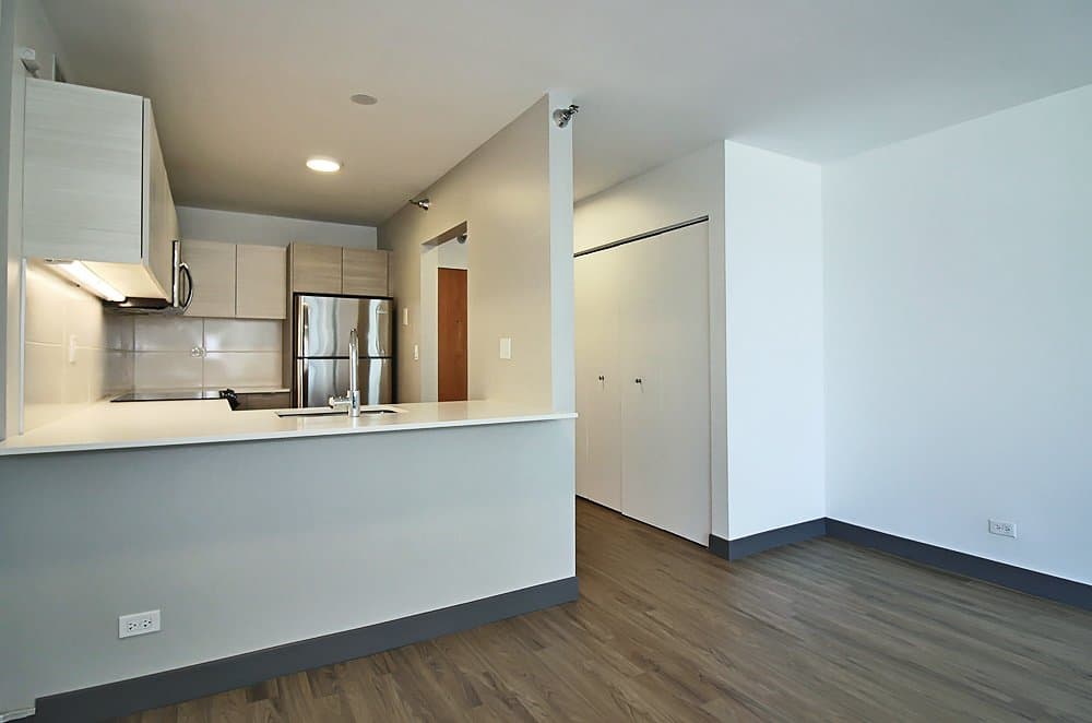 Chicago Condo: 405 East Ontario Street