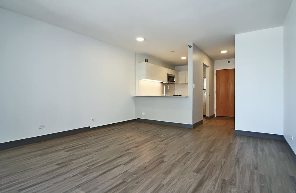 Chicago Condo: 405 East Ontario Street