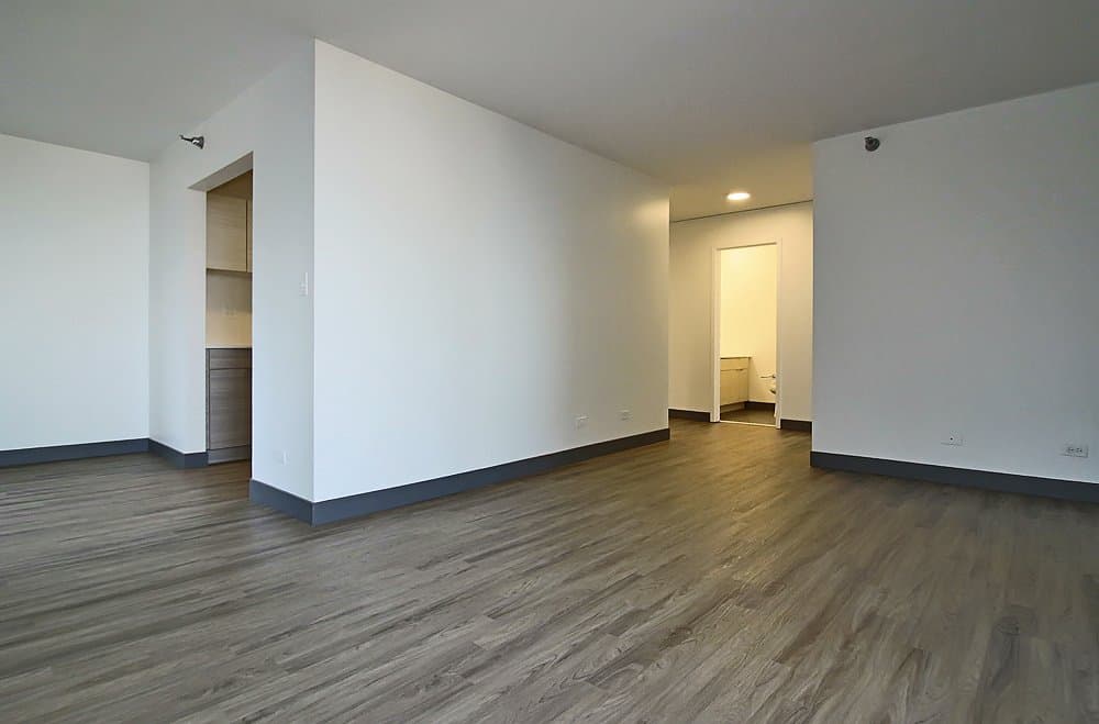 Chicago Condo: 405 East Ontario Street