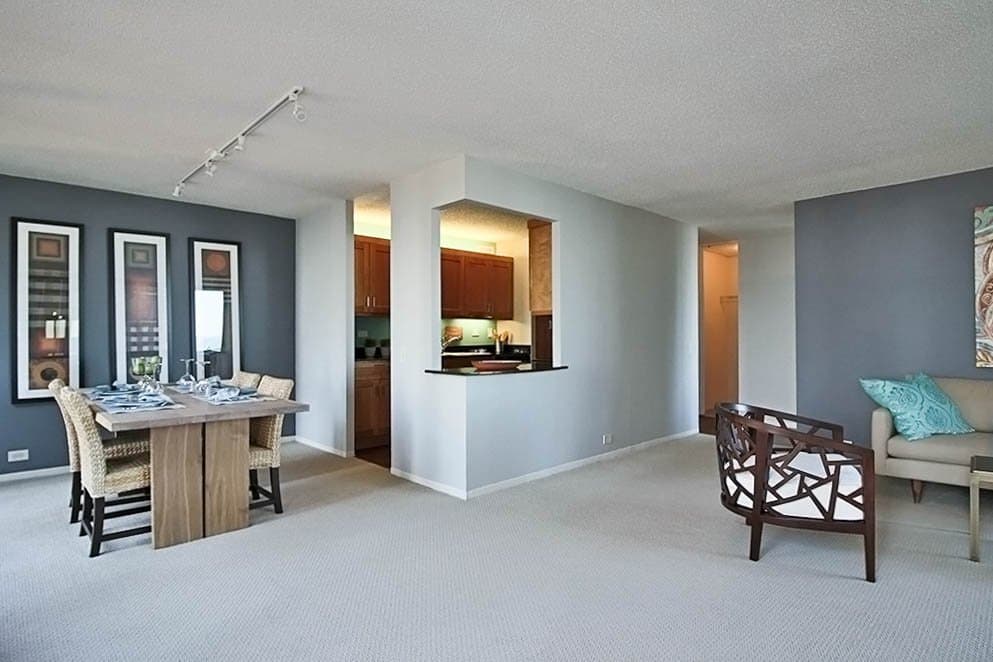 Chicago Condo: 169 North Michigan Avenue