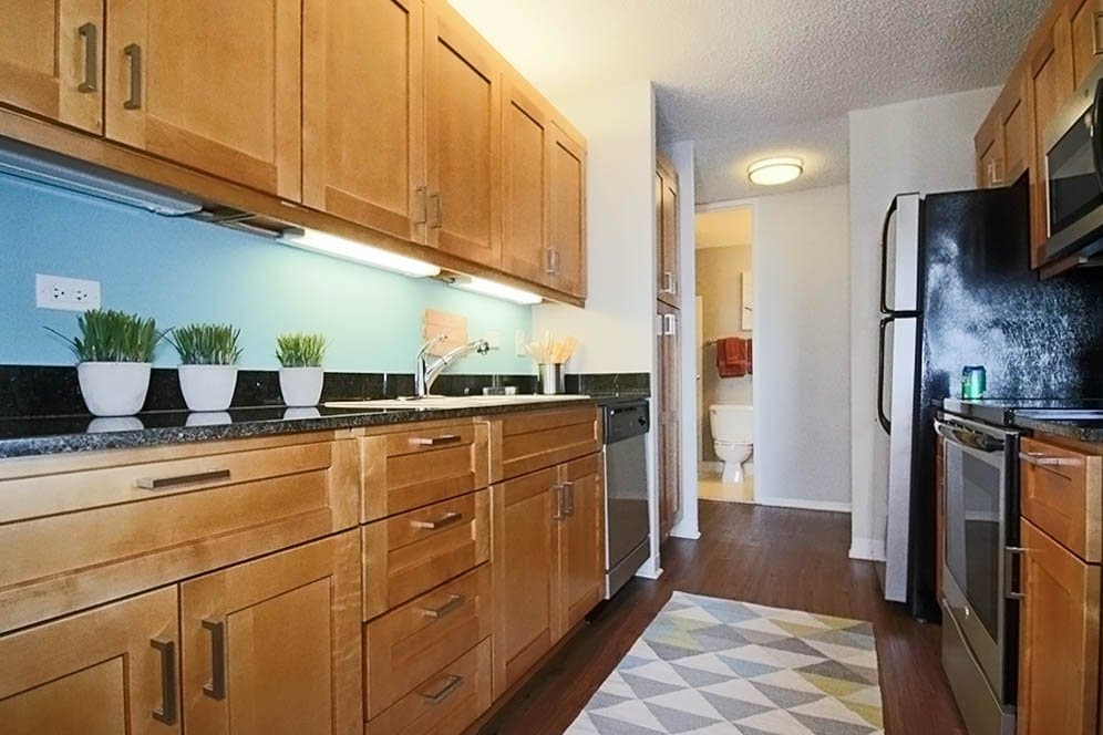 Chicago Condo: 169 North Michigan Avenue