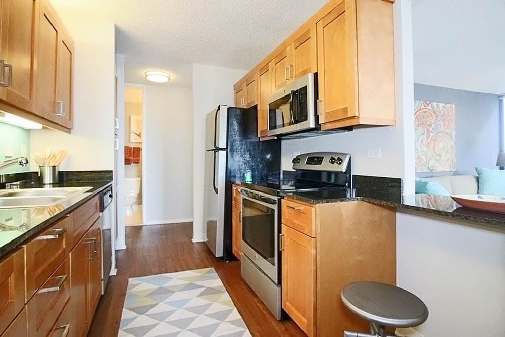 Chicago Condo: 169 North Michigan Avenue