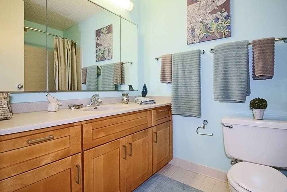 Chicago Condo: 169 North Michigan Avenue