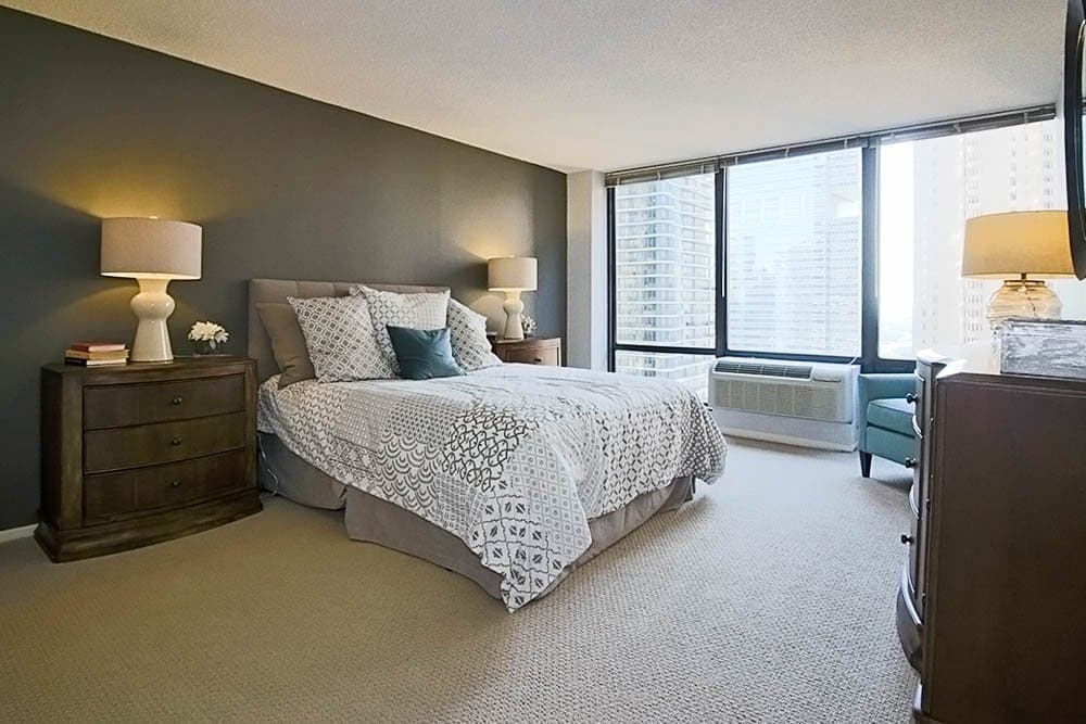 Chicago Condo: 169 North Michigan Avenue