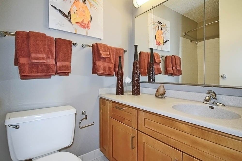 Chicago Condo: 169 North Michigan Avenue