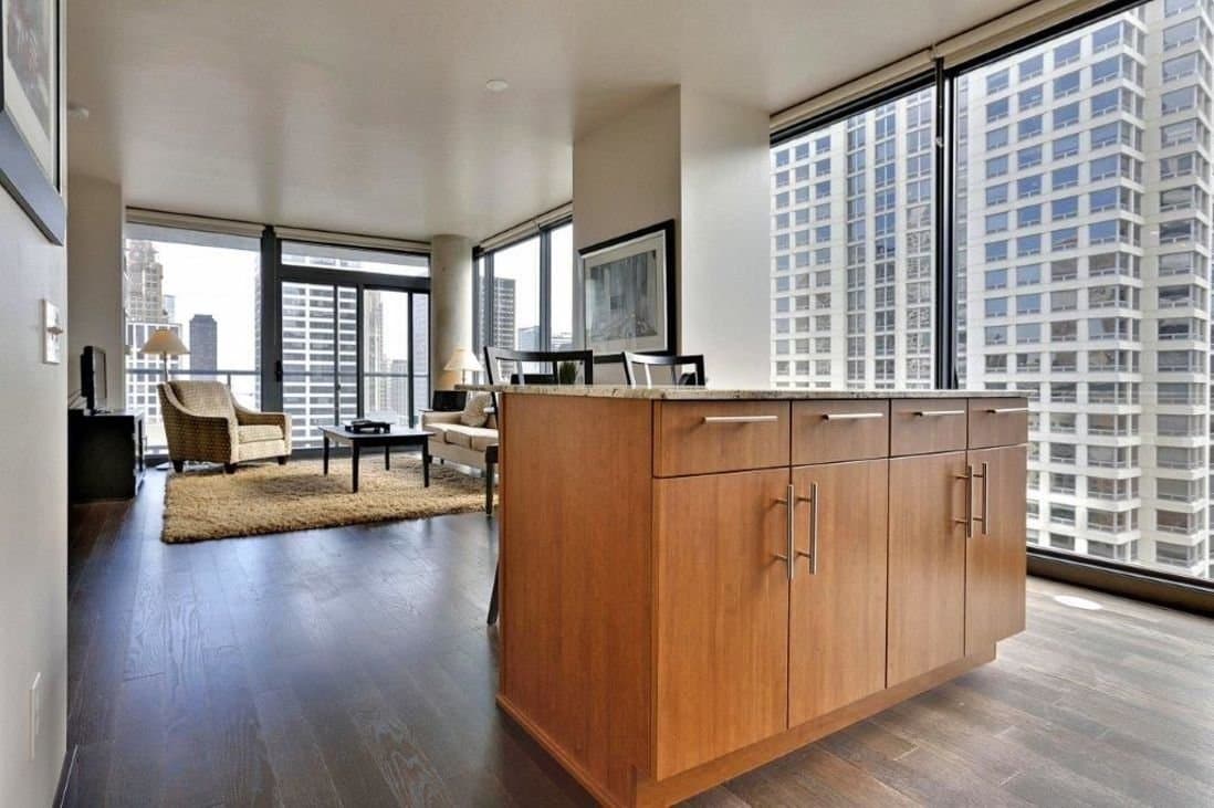Chicago Condo: 503 North Dearborn Street
