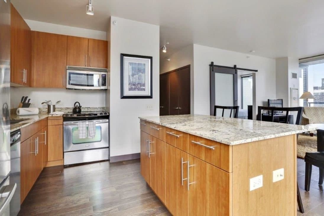 Chicago Condo: 503 North Dearborn Street