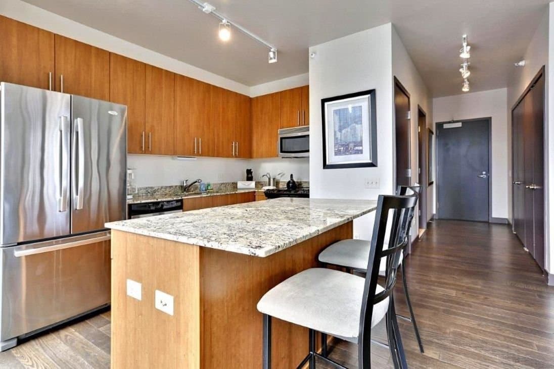Chicago Condo: 503 North Dearborn Street