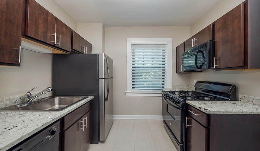 Chicago Condo: 937 West Cuyler Avenue