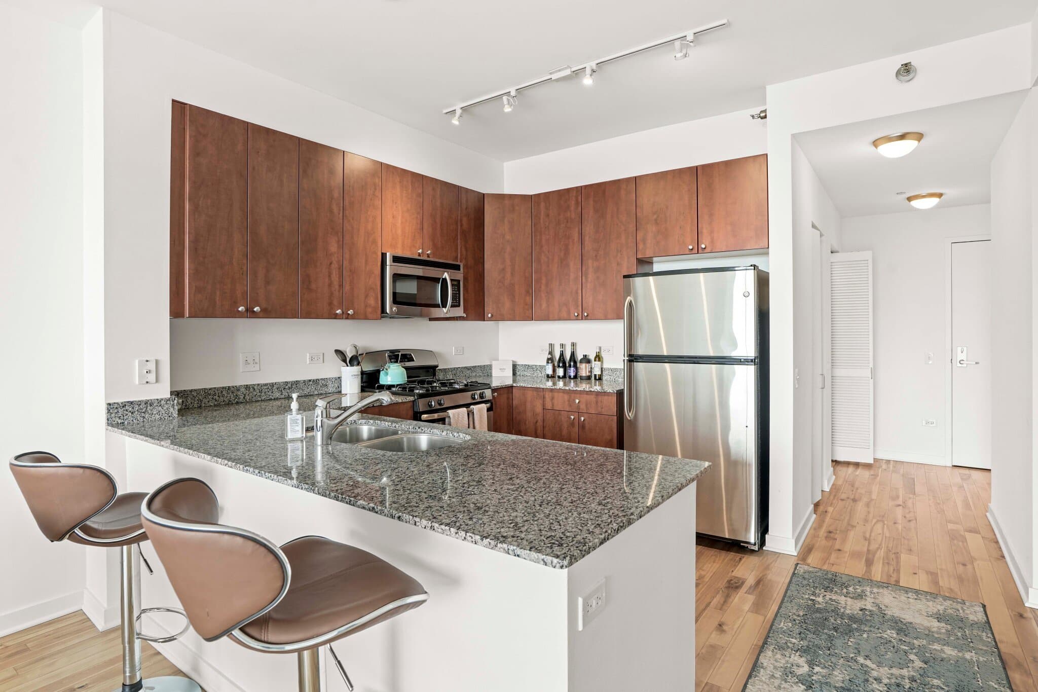 Chicago Condo: 709 South Dearborn Street