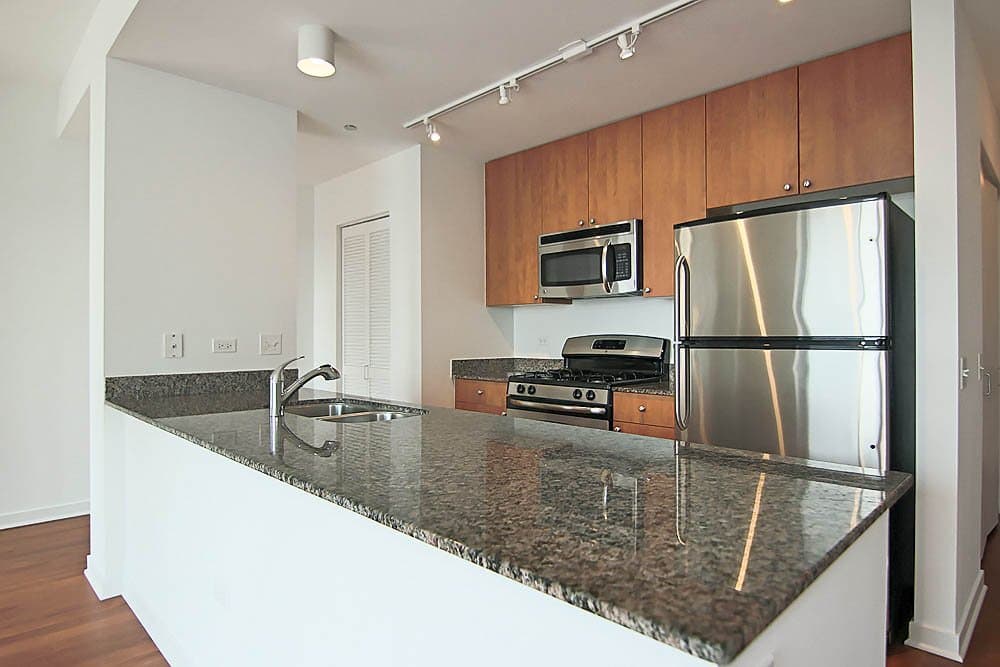 Chicago Condo: 709 South Dearborn Street