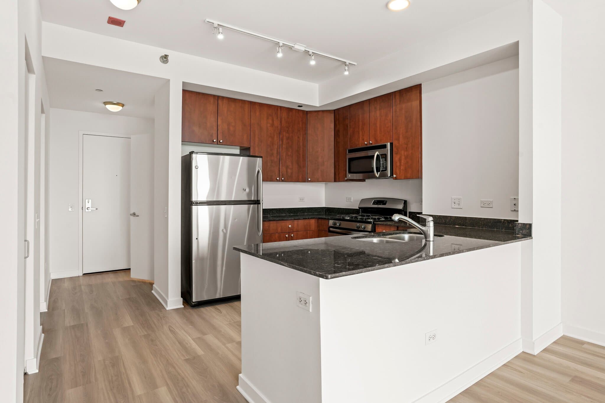 Chicago Condo: 709 South Dearborn Street
