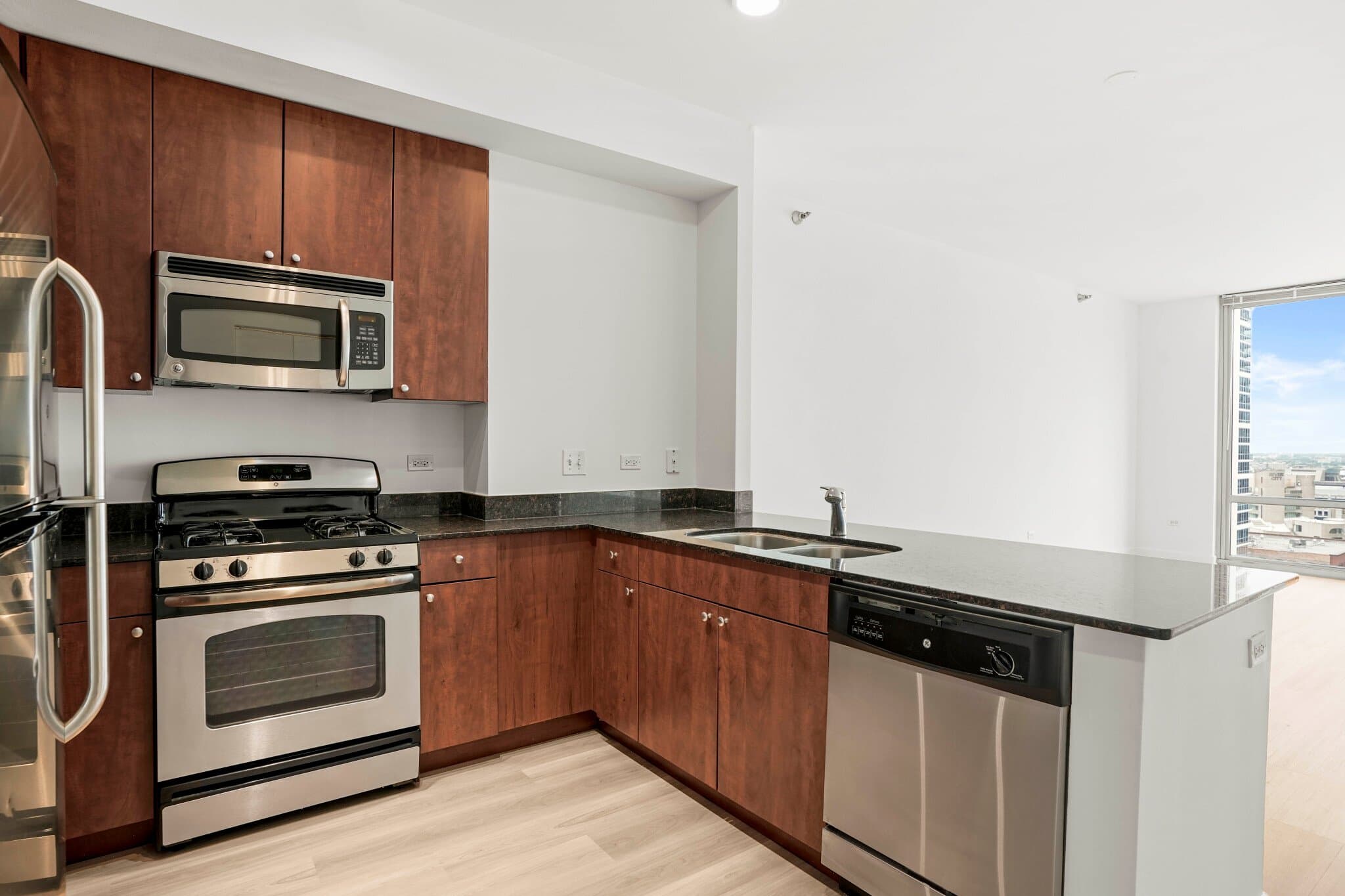 Chicago Condo: 709 South Dearborn Street