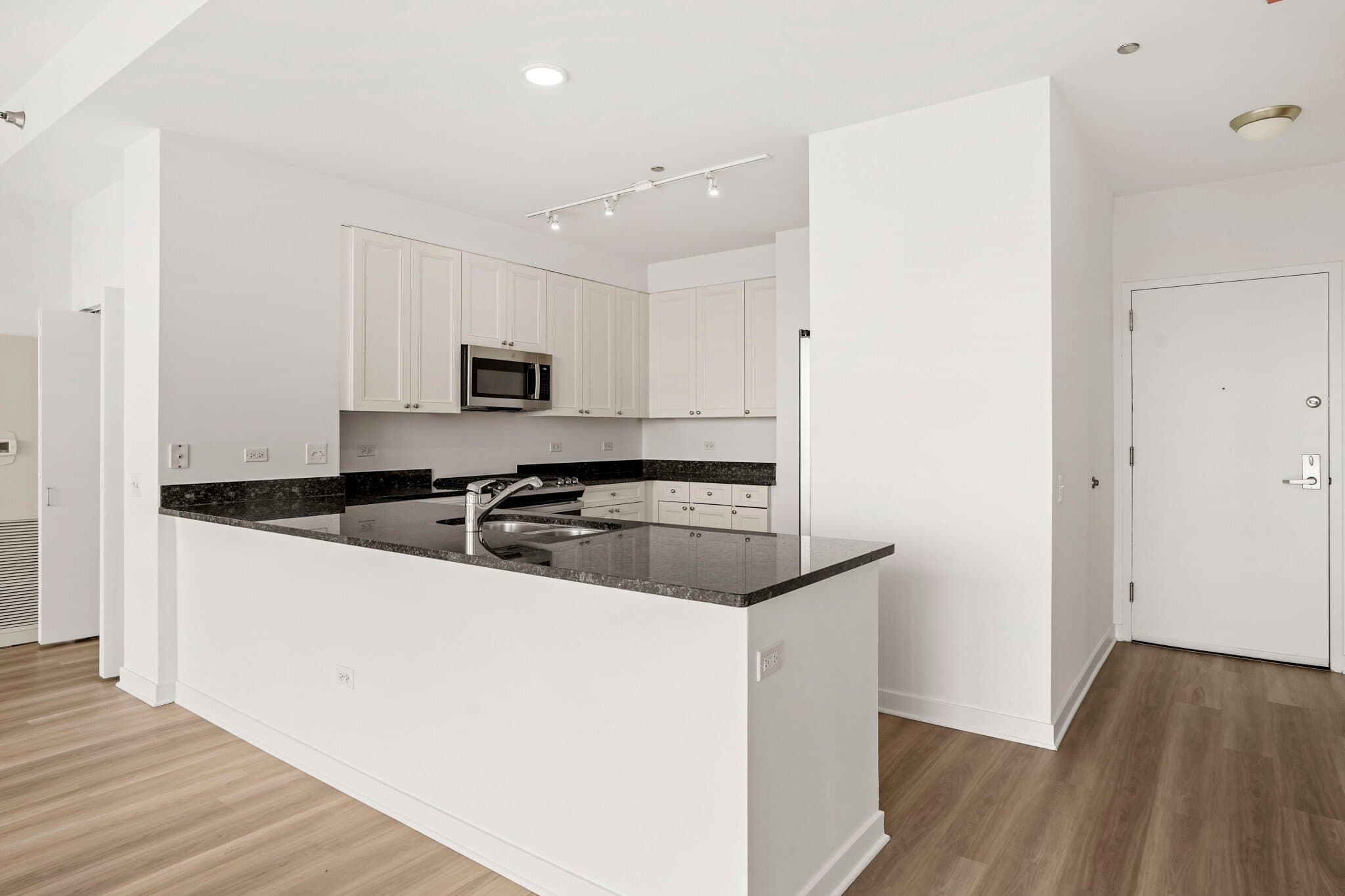 Chicago Condo: 709 South Dearborn Street