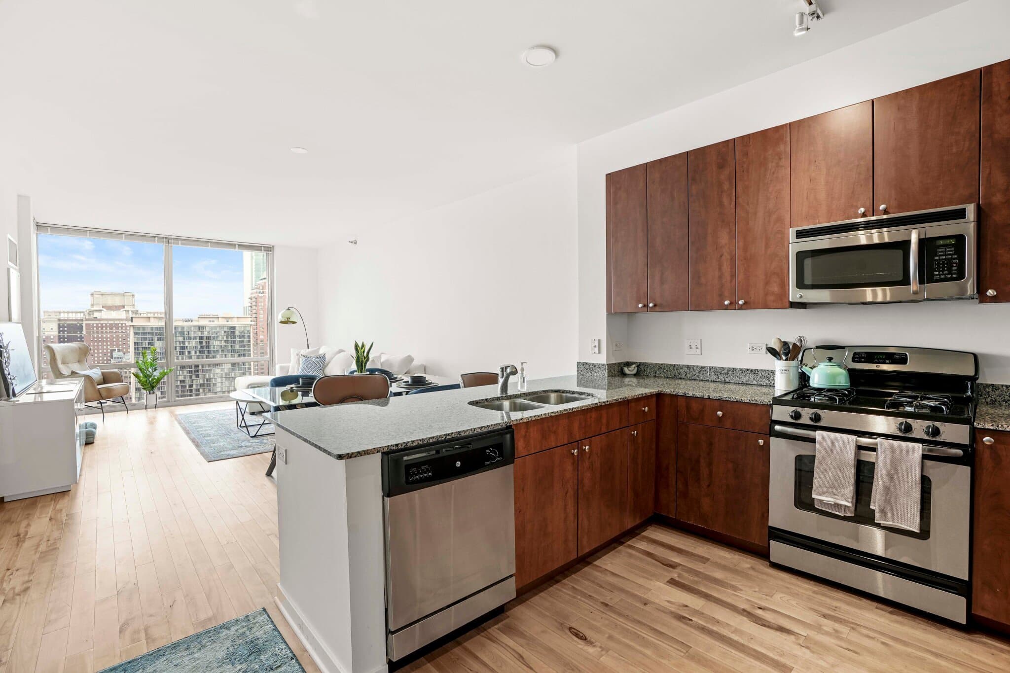 Chicago Condo: 709 South Dearborn Street