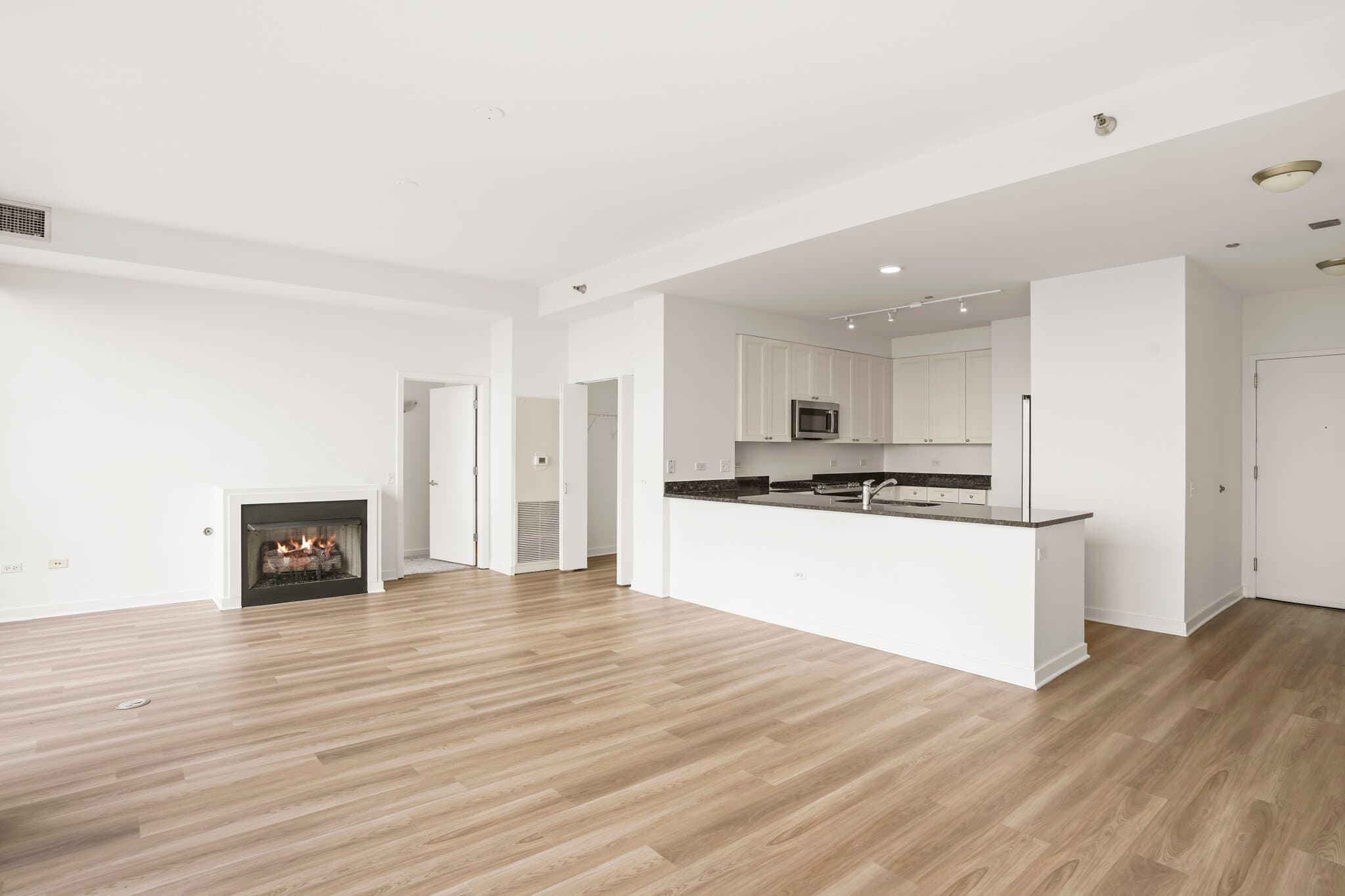 Chicago Condo: 709 South Dearborn Street