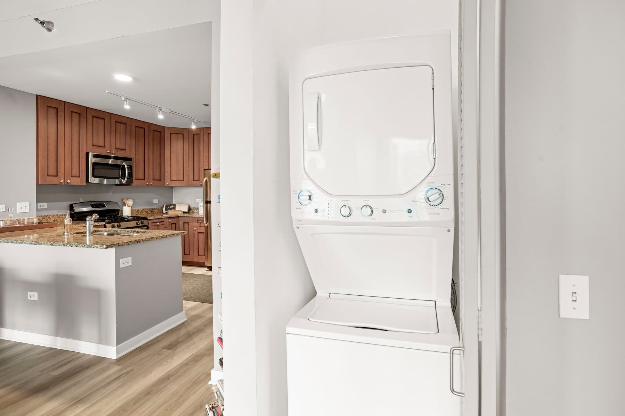Chicago Condo: 709 South Dearborn Street