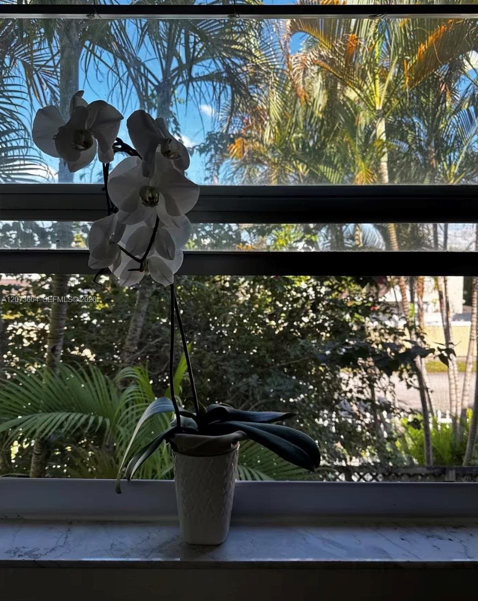 Miami Condo: 4600 SW 67th Ave