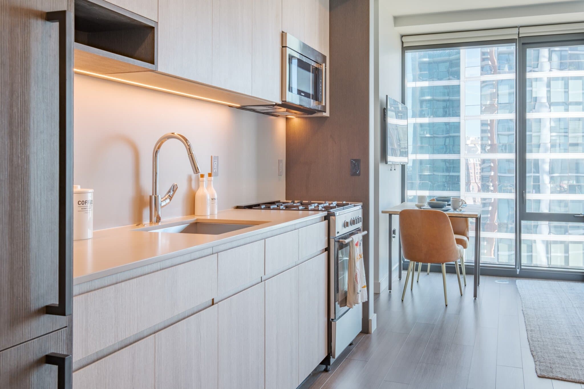 Chicago Condo: 1239 South State Street