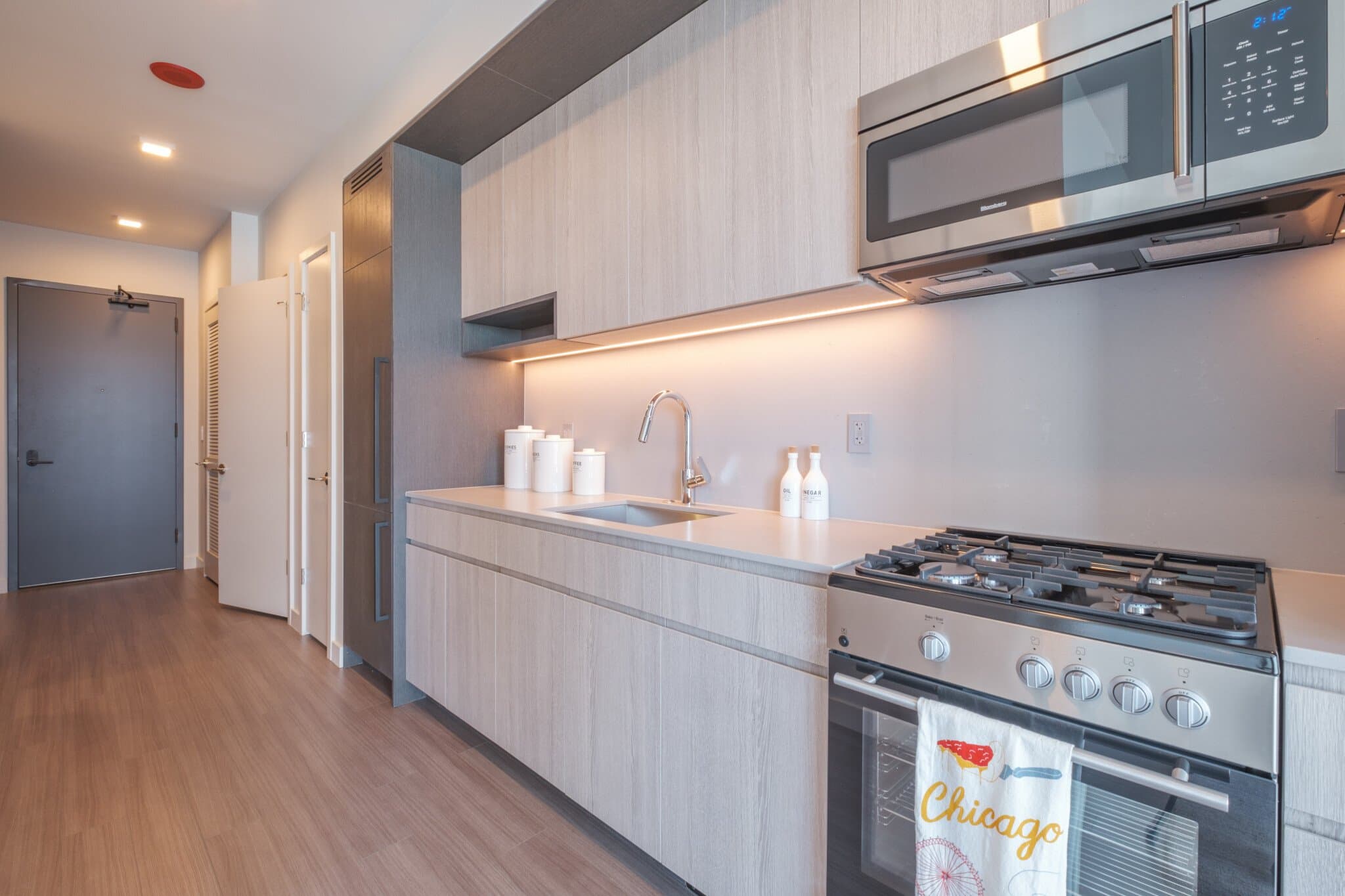 Chicago Condo: 1239 South State Street