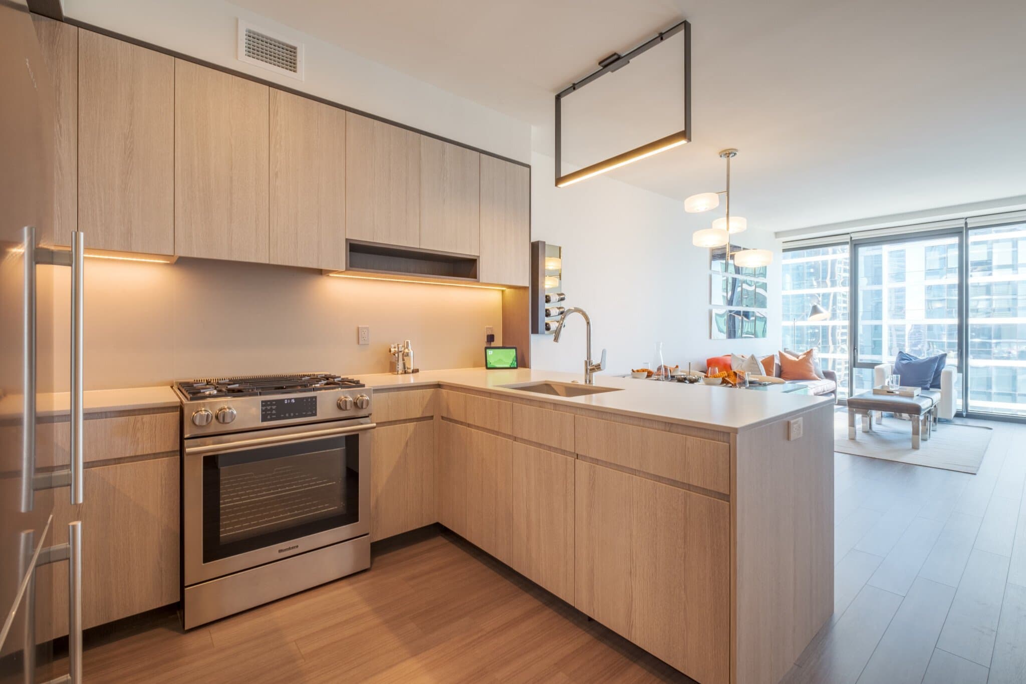 Chicago Condo: 1239 South State Street