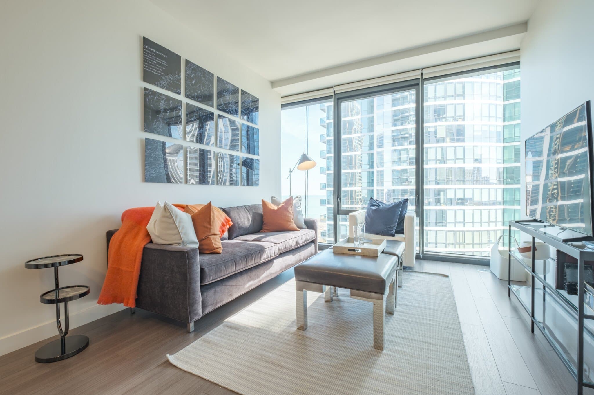 Chicago Condo: 1239 South State Street