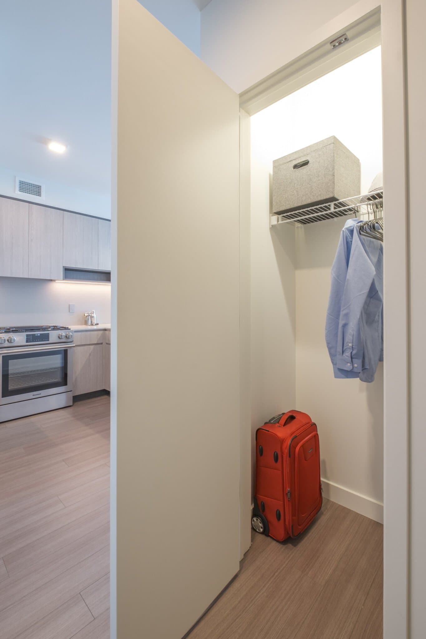 Chicago Condo: 1239 South State Street