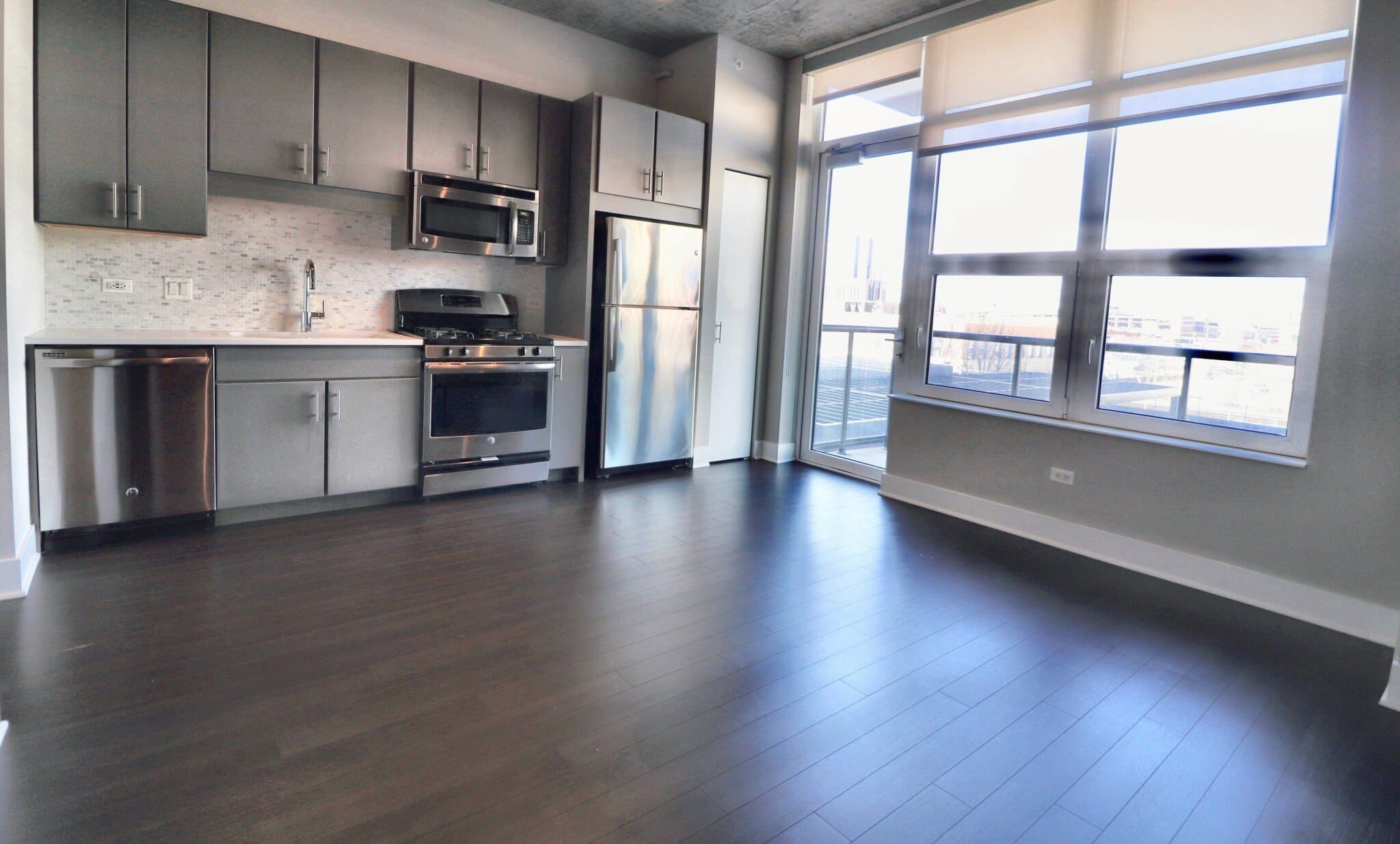 Chicago Condo: 899 South State Street