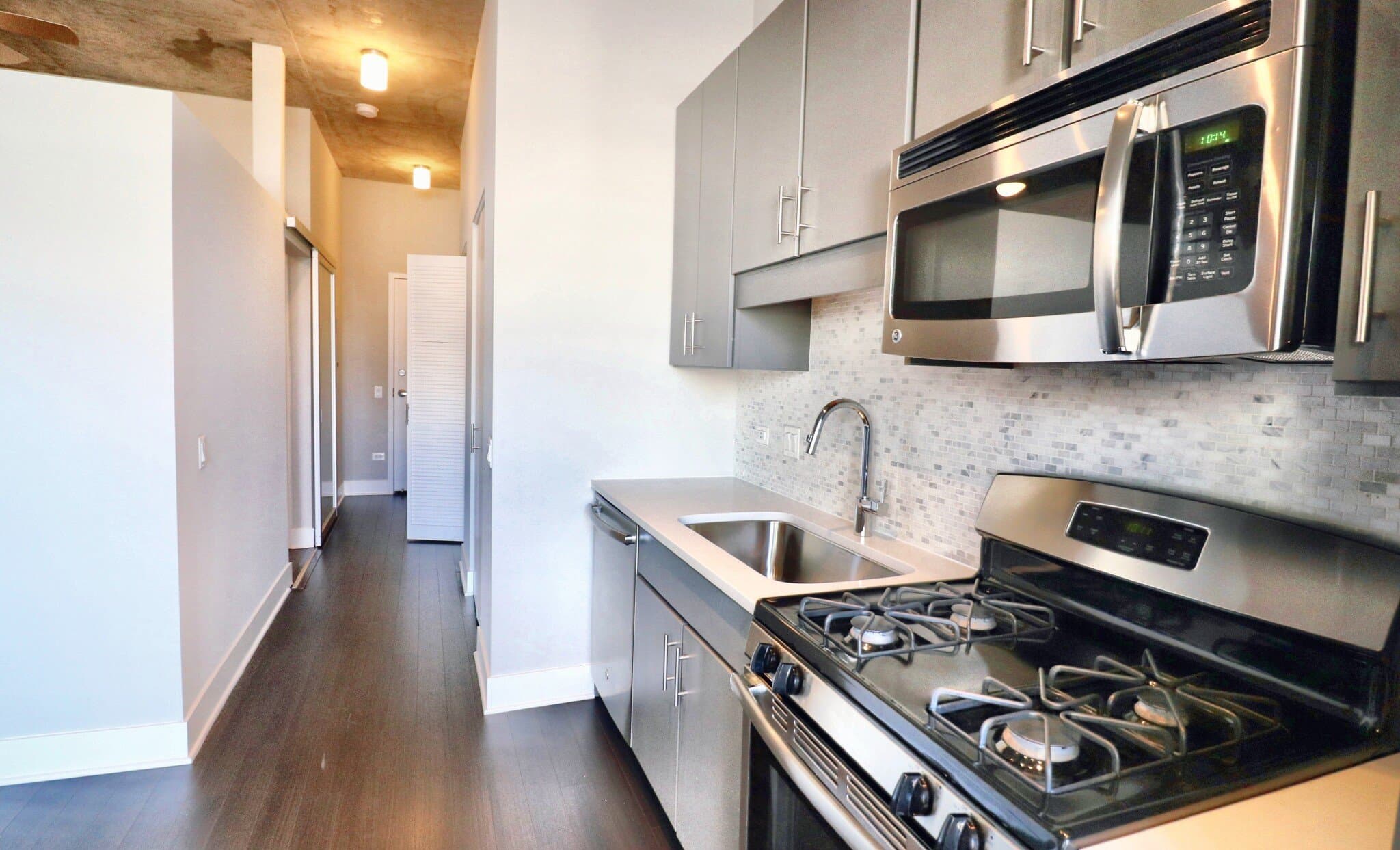 Chicago Condo: 899 South State Street
