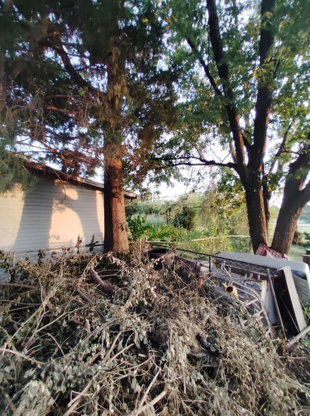 Cahokia House: 1106 St Michael Dr