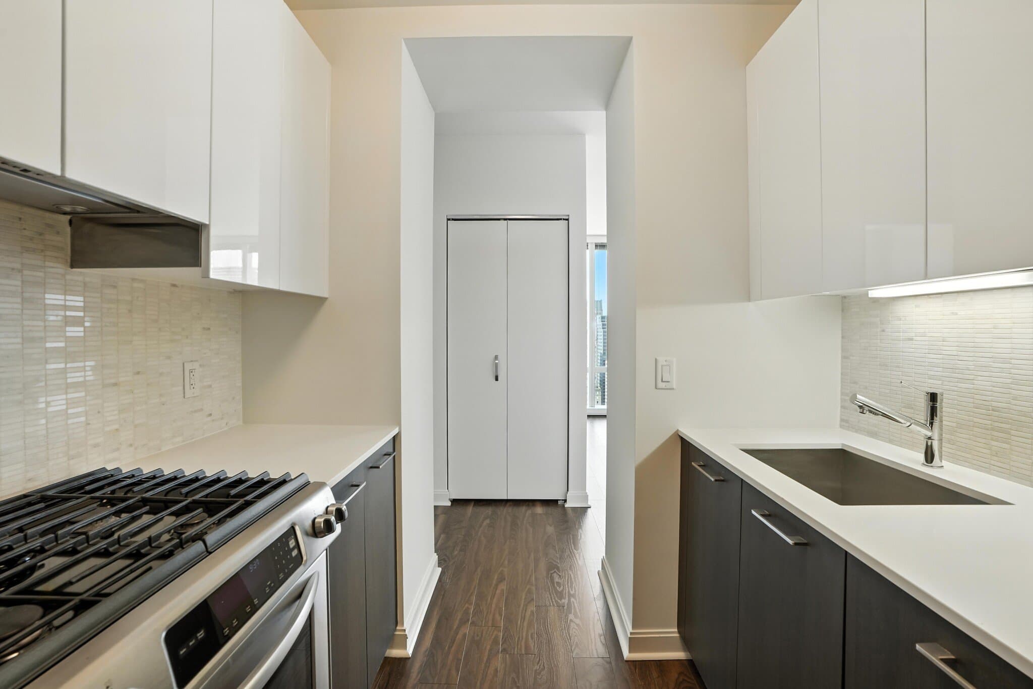 Chicago Condo: 223 N La Salle St