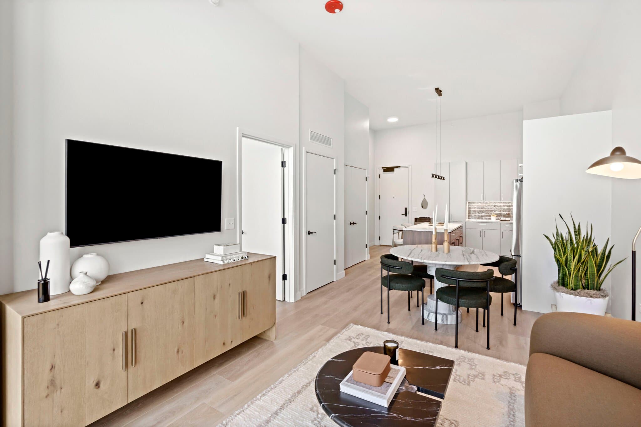 Chicago Condo: 1100 W Jackson Blvd