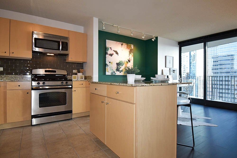 Chicago Condo: 319 North Michigan Avenue