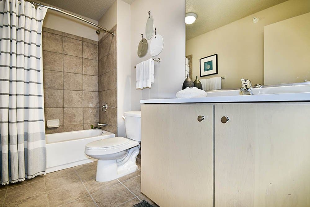Chicago Condo: 319 North Michigan Avenue